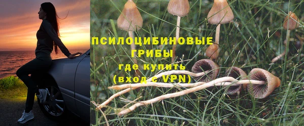 MESCALINE Куйбышев
