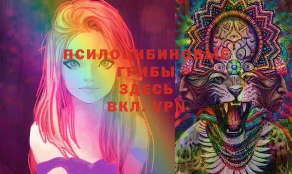 гидропоника Ладушкин