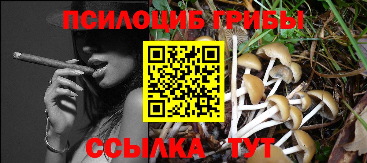 Галлюциногенные грибы Psilocybine cubensis  как найти   Новочеркасск  Вход с VPN 